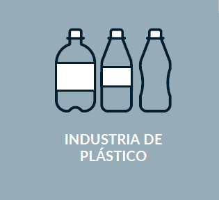 servicios screenshot 2025 11 25 010040